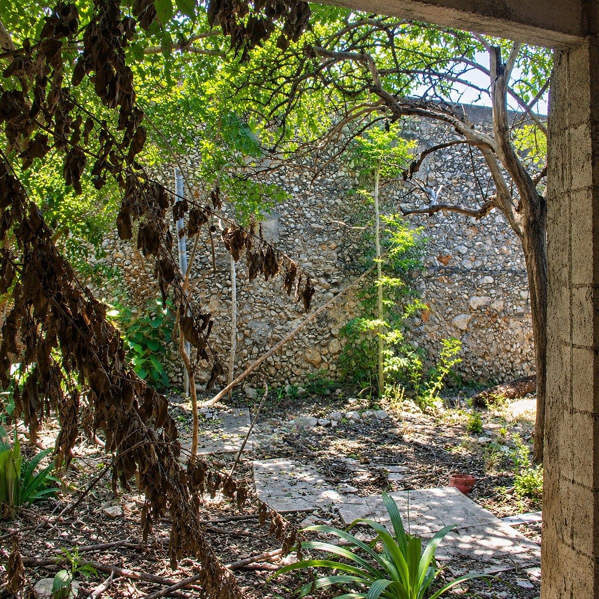 Casa em Mérida Centro, Mérida, foto 8 de 20