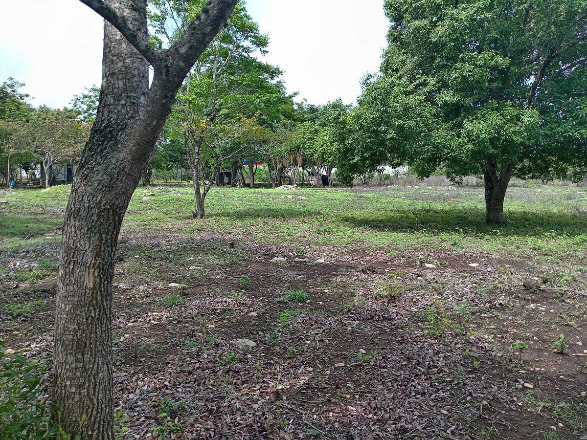 Lote em El Palmar, Berriozábal, foto 3 de 11