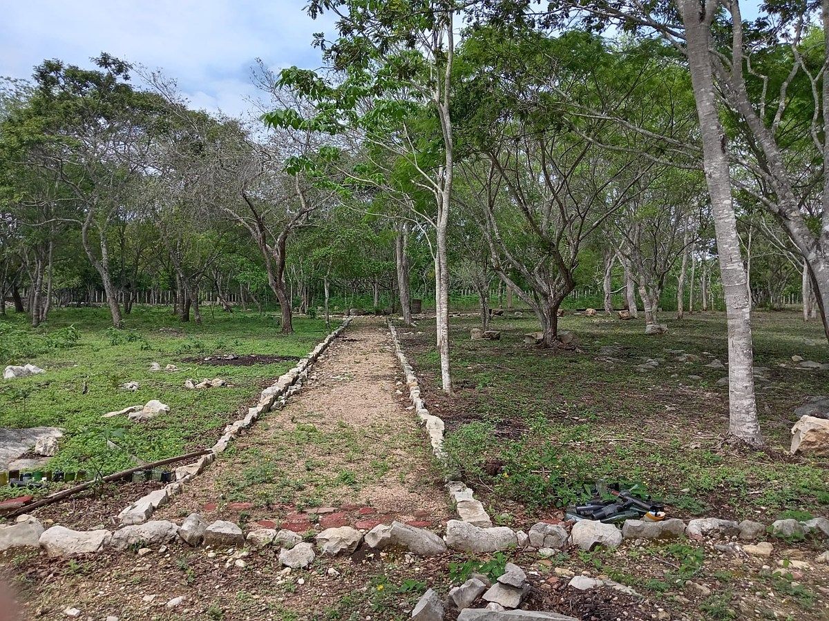 Lote em El Palmar, Berriozábal, foto 7 de 11