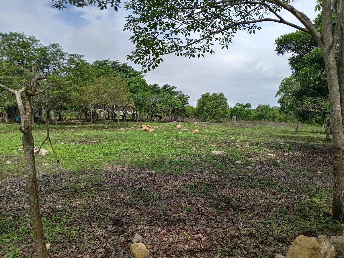 Lote em El Palmar, Berriozábal, foto 5 de 11