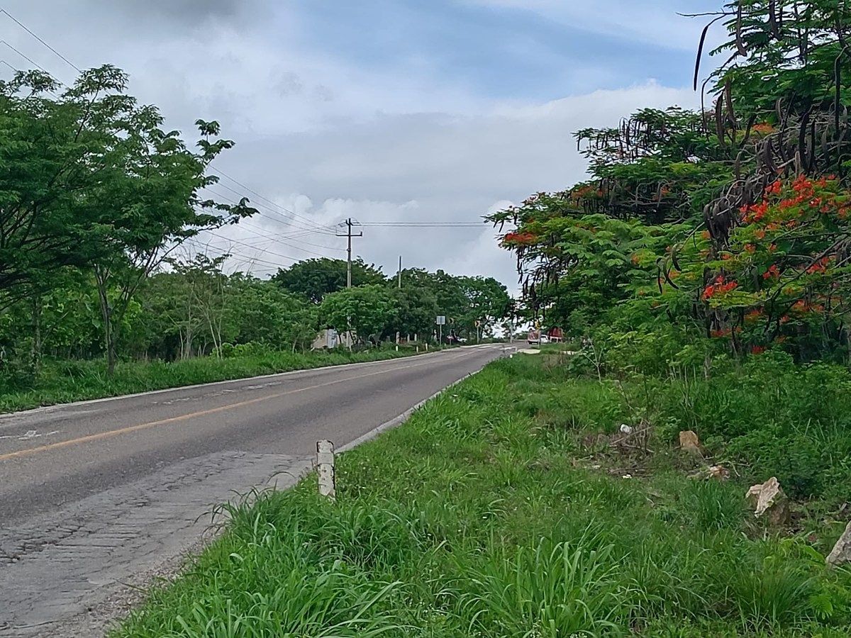 Se Vende Terreno Comercial de 6 Hectareas en Berriozabal