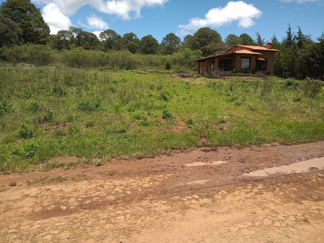Tu espacio en el bosque | 1,500 m² en Pinares de Tapalpa - foto 3