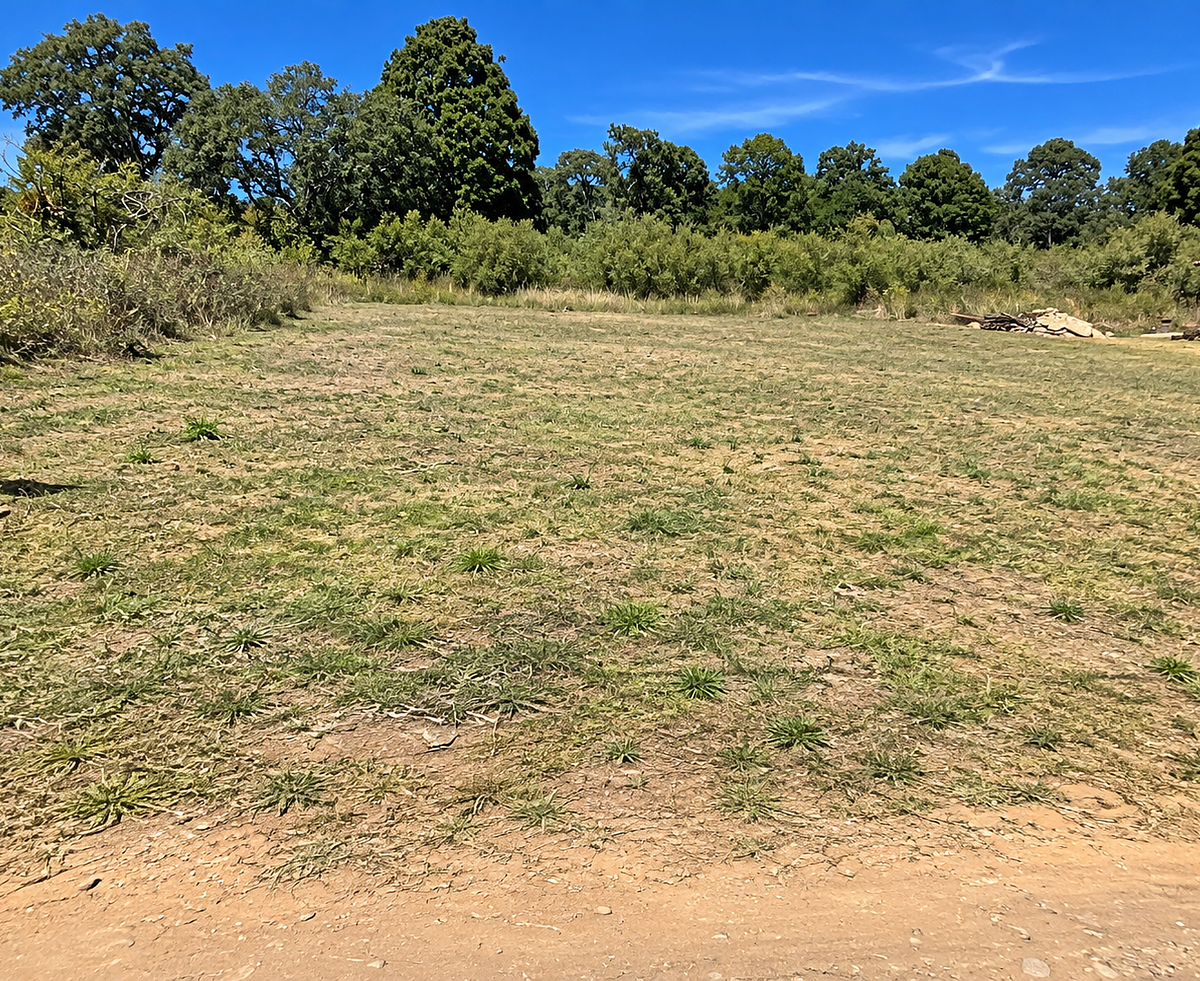 Tu espacio en el bosque | 1,500 m² en Pinares de Tapalpa - foto 2