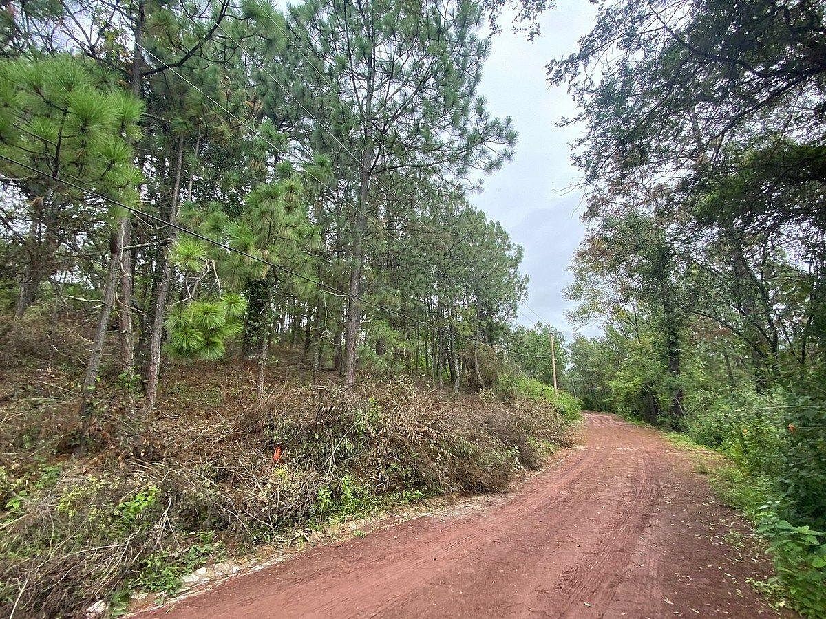 Tu espacio en el bosque | 1,500 m² en Pinares de Tapalpa - foto 4