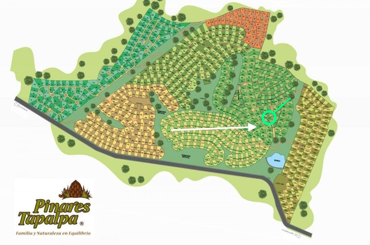 Tu espacio en el bosque | 1,500 m² en Pinares de Tapalpa - foto 5