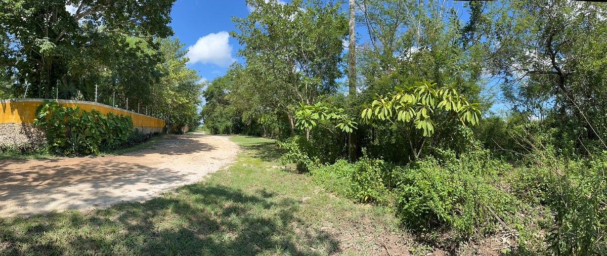 Lote em Conkal, Conkal, foto 8 de 8