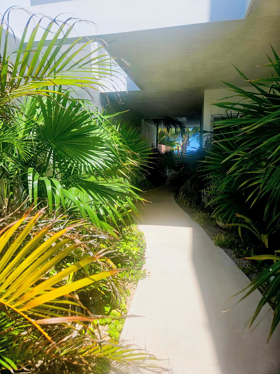 Departamento en San Benito, Dzemul, foto 22 de 35