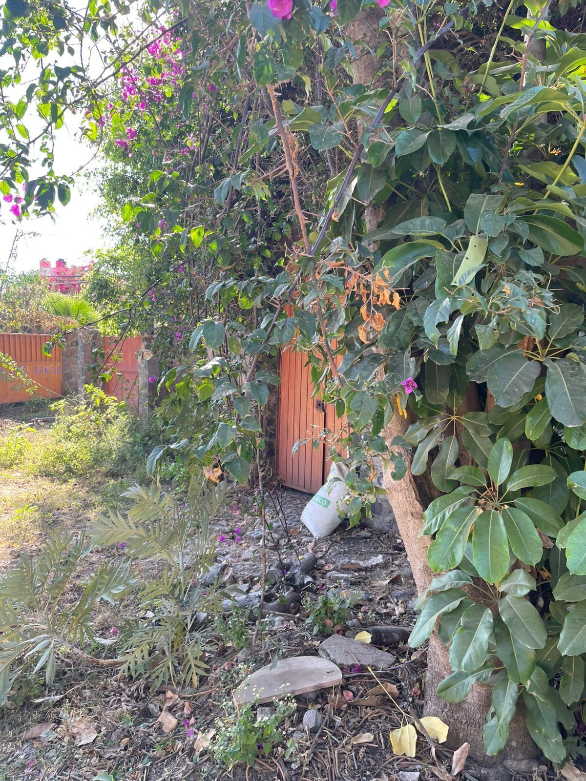 Terreno en Chantepec, Jocotepec, foto 7 de 9