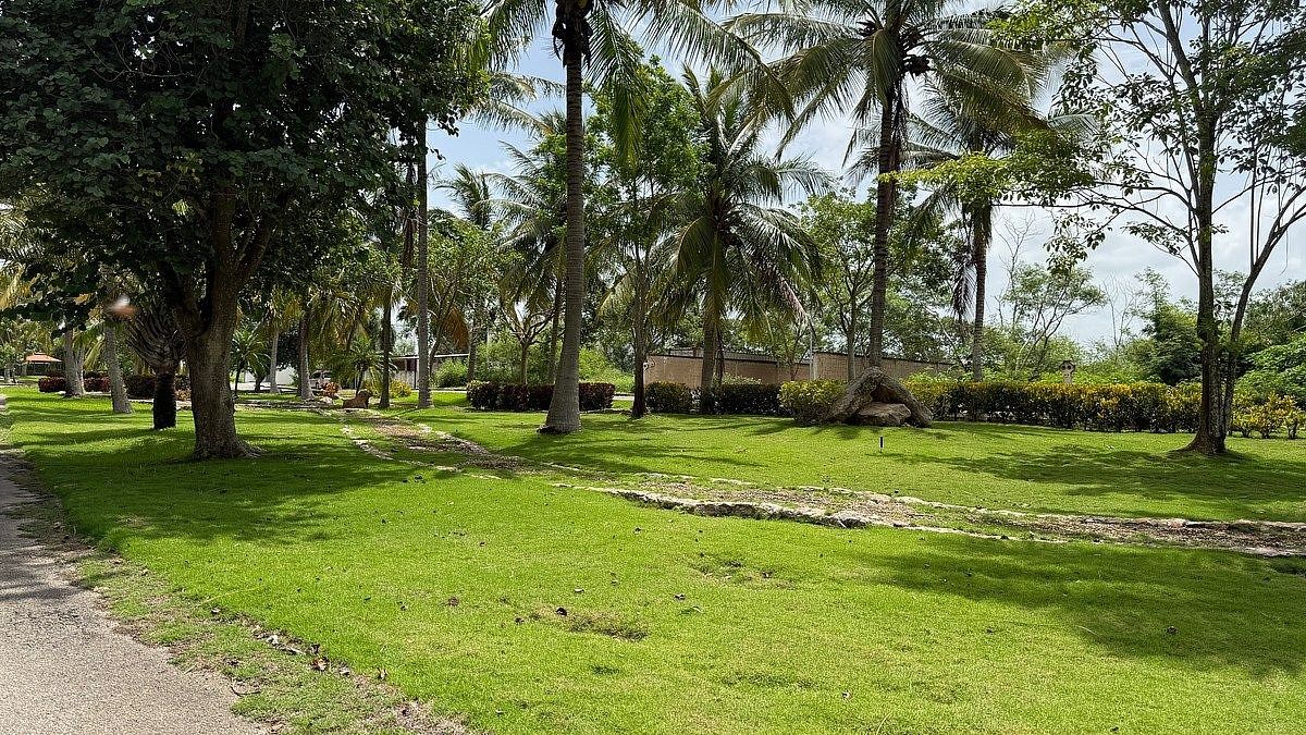 Lote em Yaxkukul, Yaxkukul, foto 5 de 6