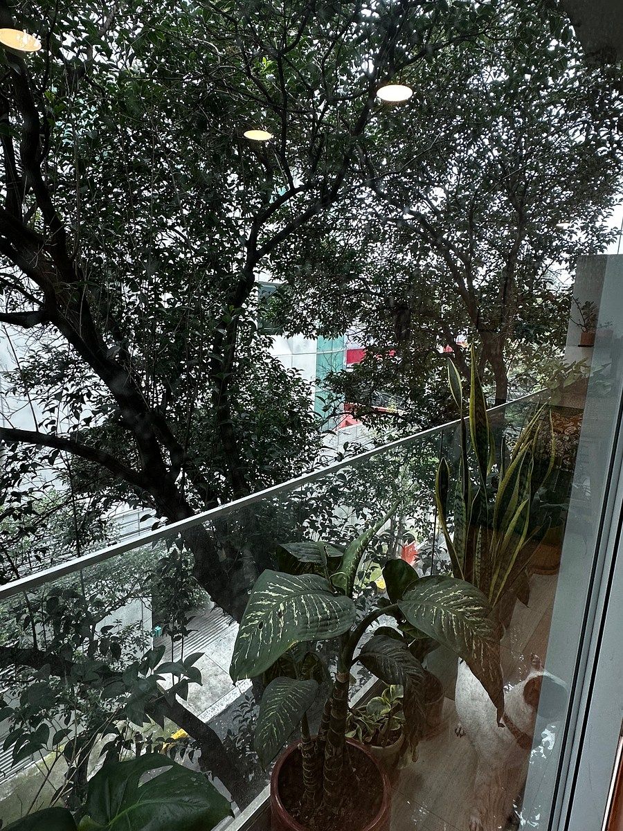 Apartamento em Acacias, Benito Juárez, foto 8 de 8