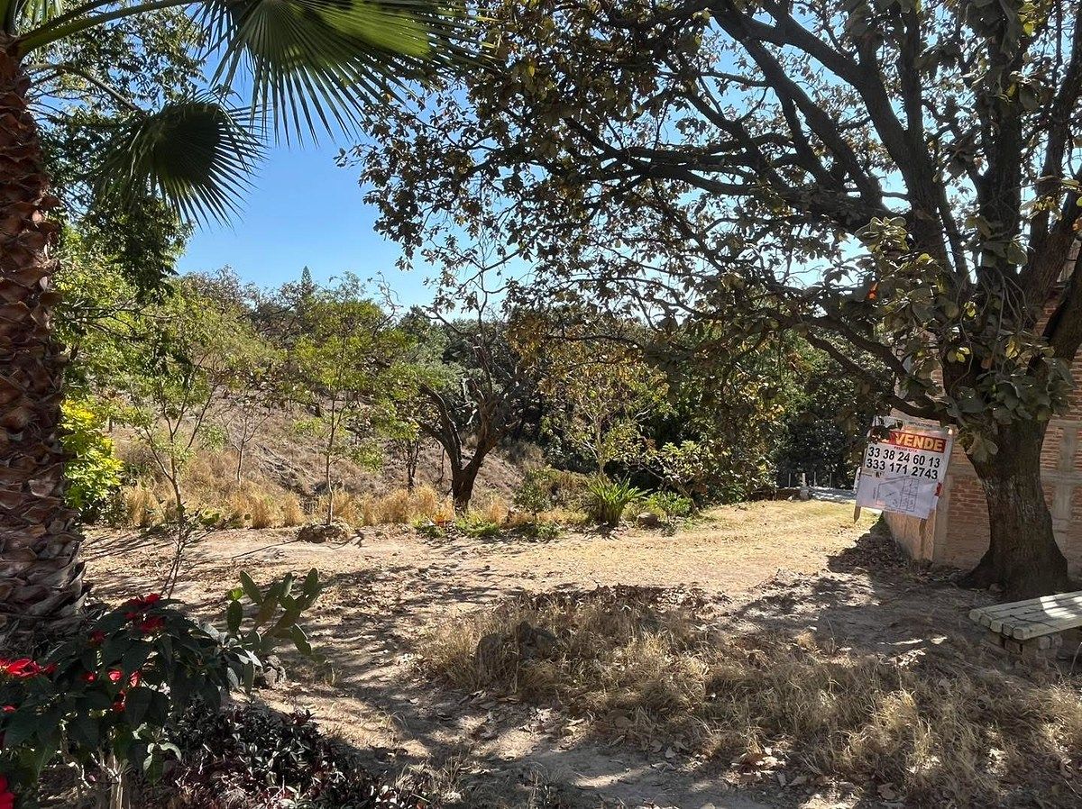 TERRENO EN VENTA COLINAS DE LOS ROBLES, ZAPOPAN, foto 1 de 4
