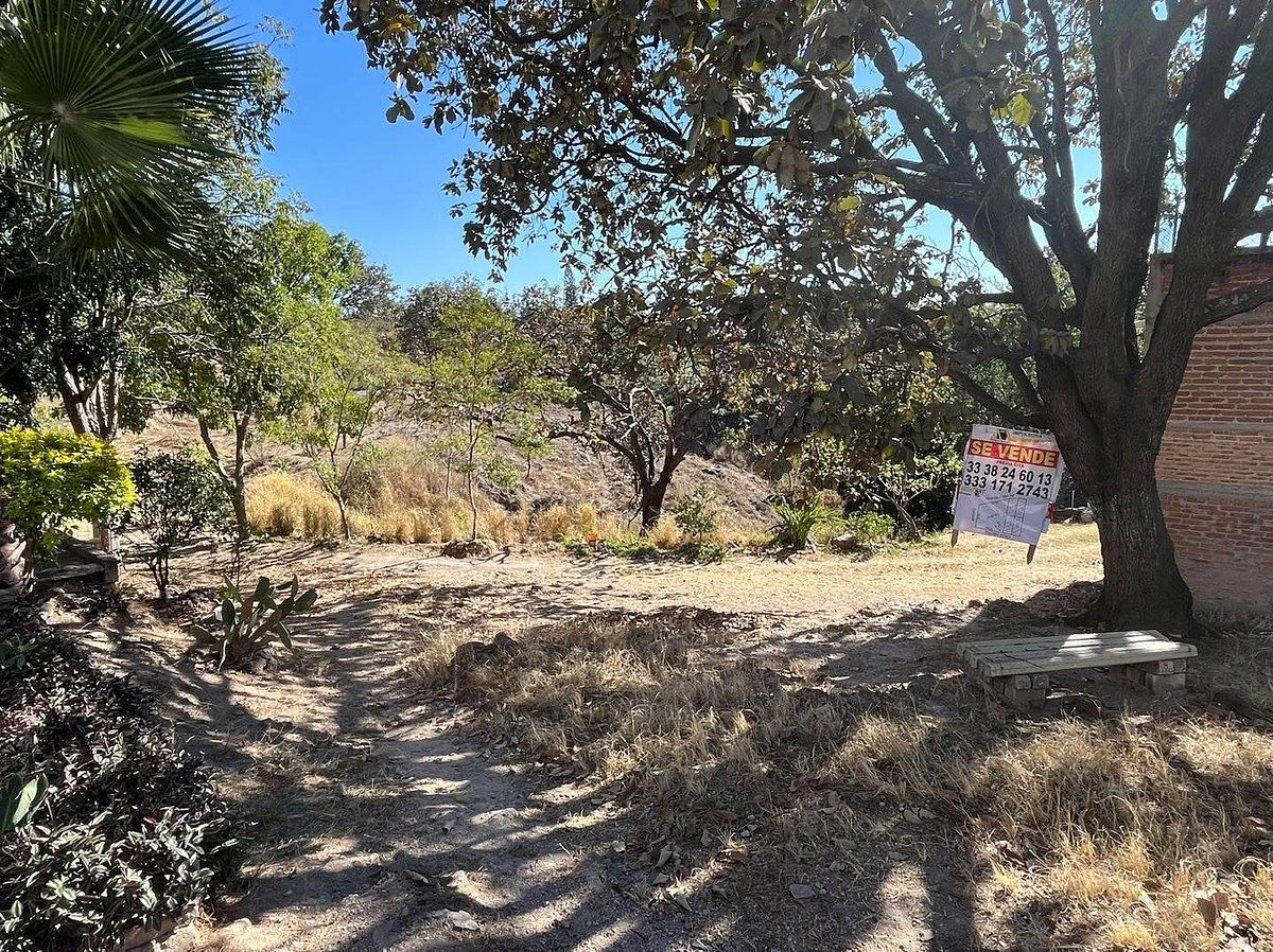 TERRENO EN VENTA COLINAS DE LOS ROBLES, ZAPOPAN, foto 4 de 4