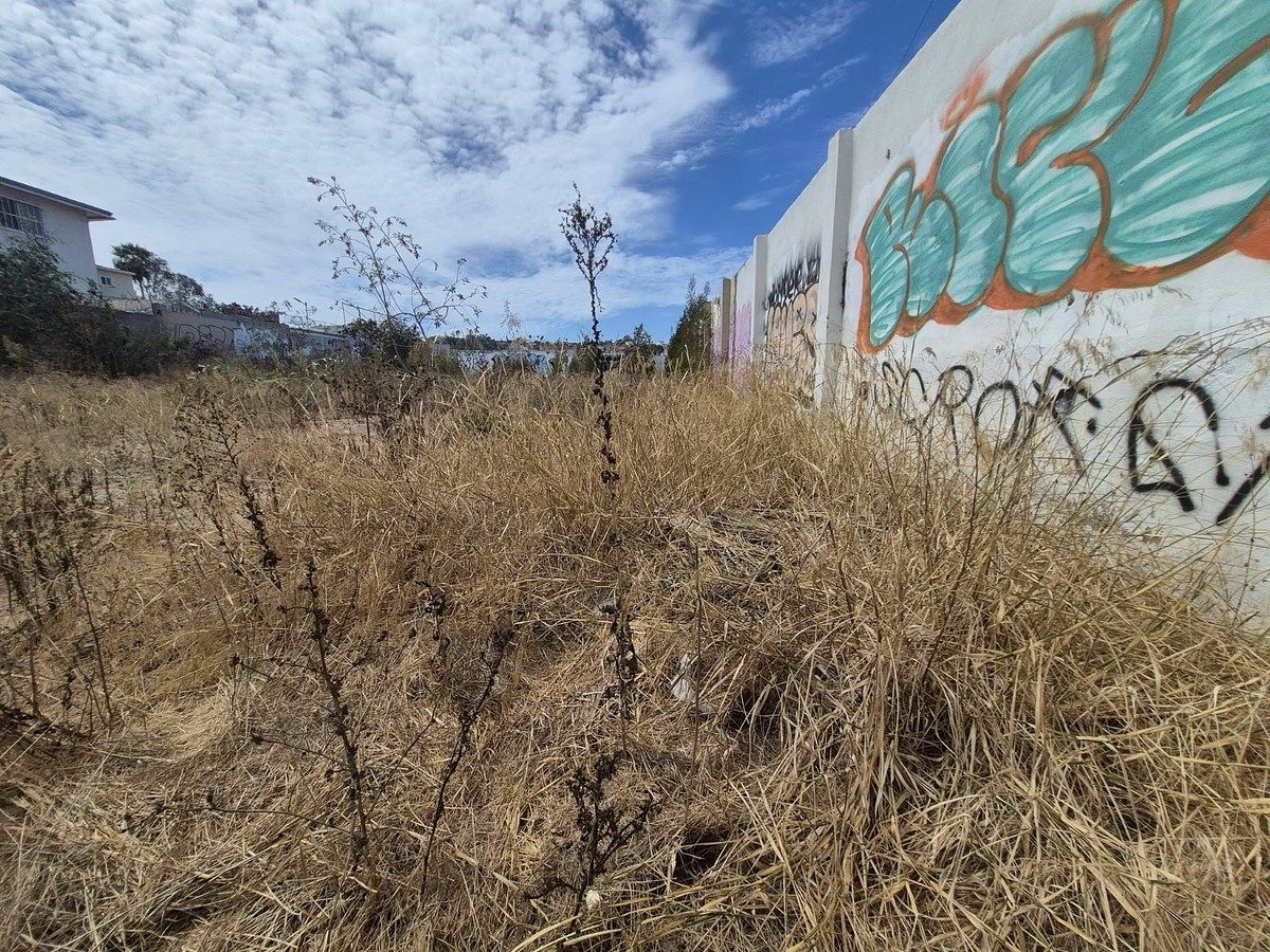 Lote em Altamira, Tijuana, foto 4 de 11
