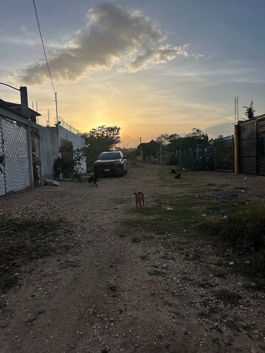 Terreno en San Miguel, Berriozábal, foto 6 de 11