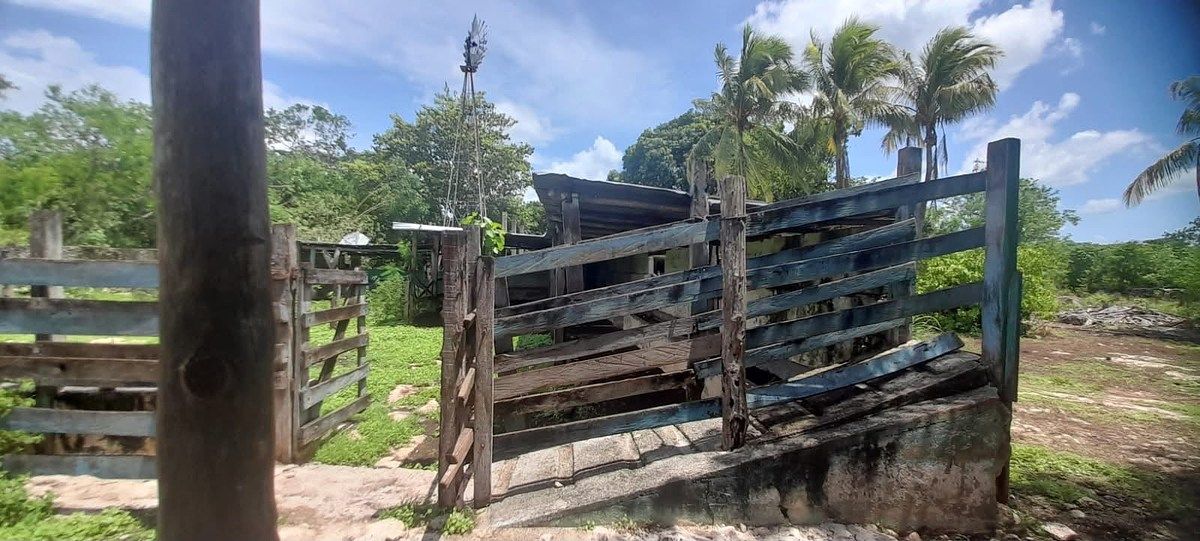 Rancho en Buctzotz, Buctzotz, foto 3 de 39