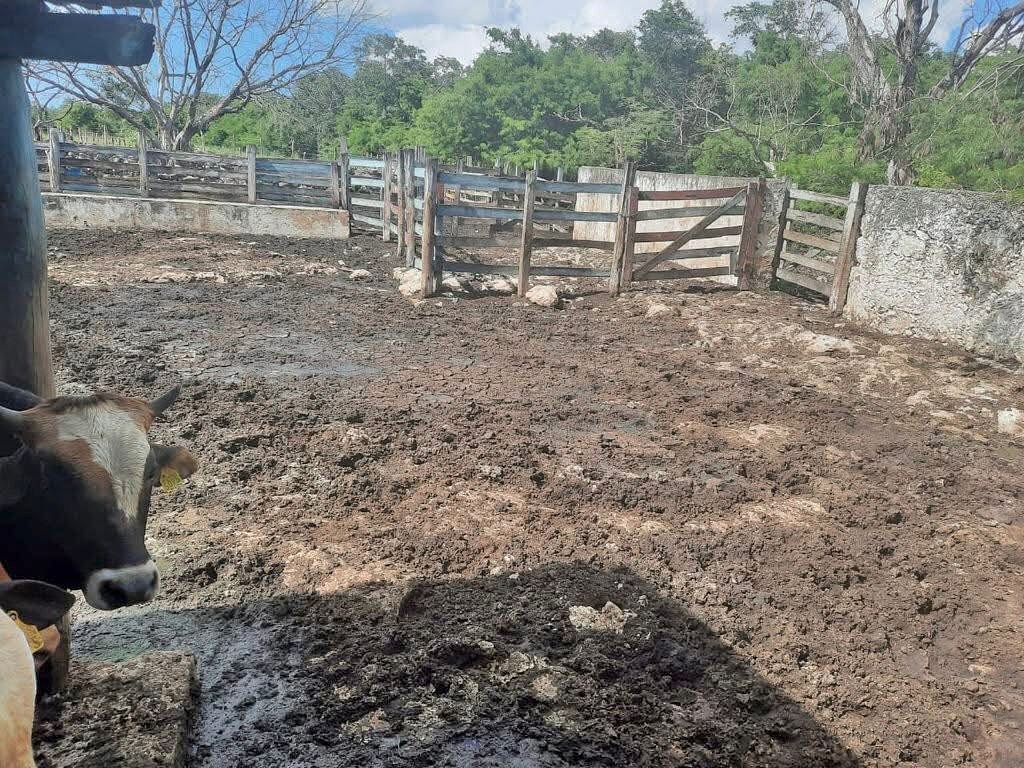 Rancho en Buctzotz, Buctzotz, foto 8 de 39