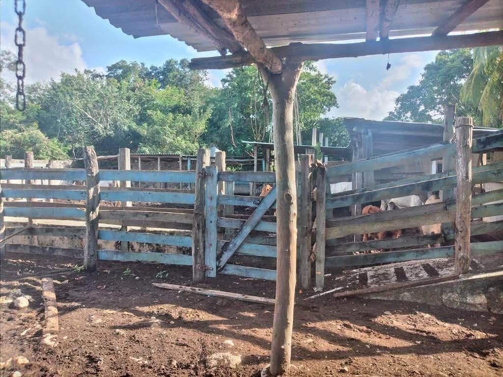 Rancho en Buctzotz, Buctzotz, foto 9 de 39