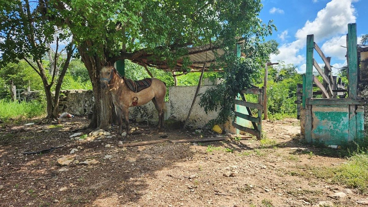Rancho en Buctzotz, Buctzotz, foto 10 de 39