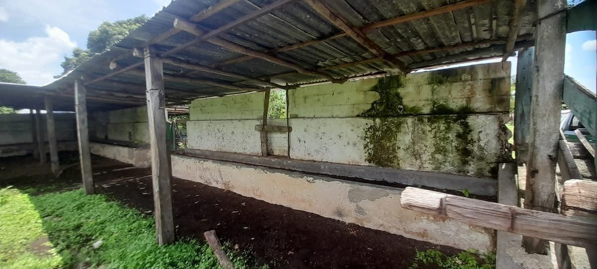 Rancho en Buctzotz, Buctzotz, foto 12 de 39