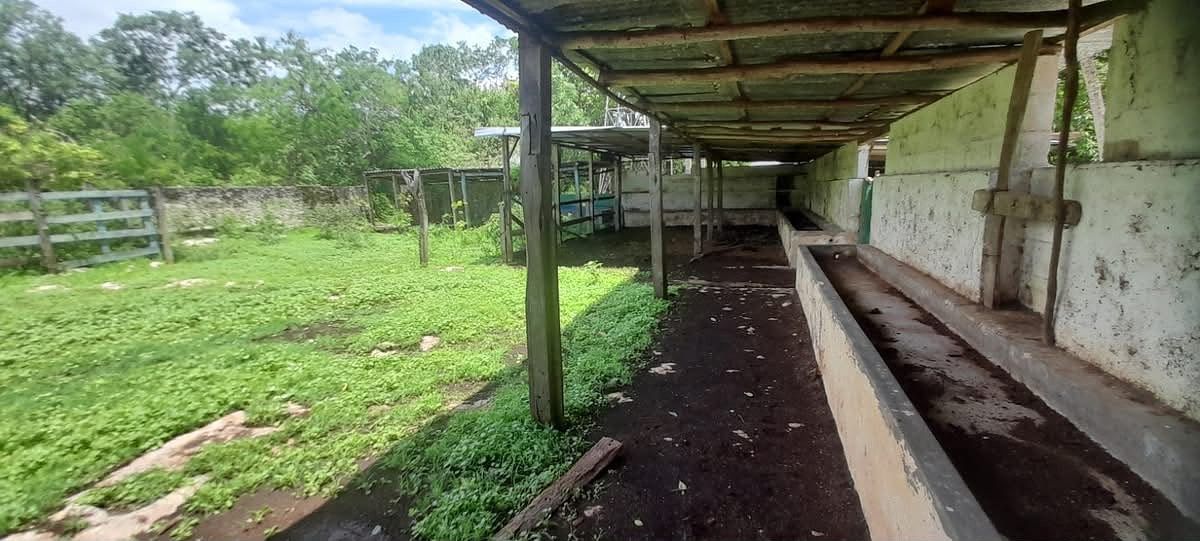 Rancho en Buctzotz, Buctzotz, foto 17 de 39