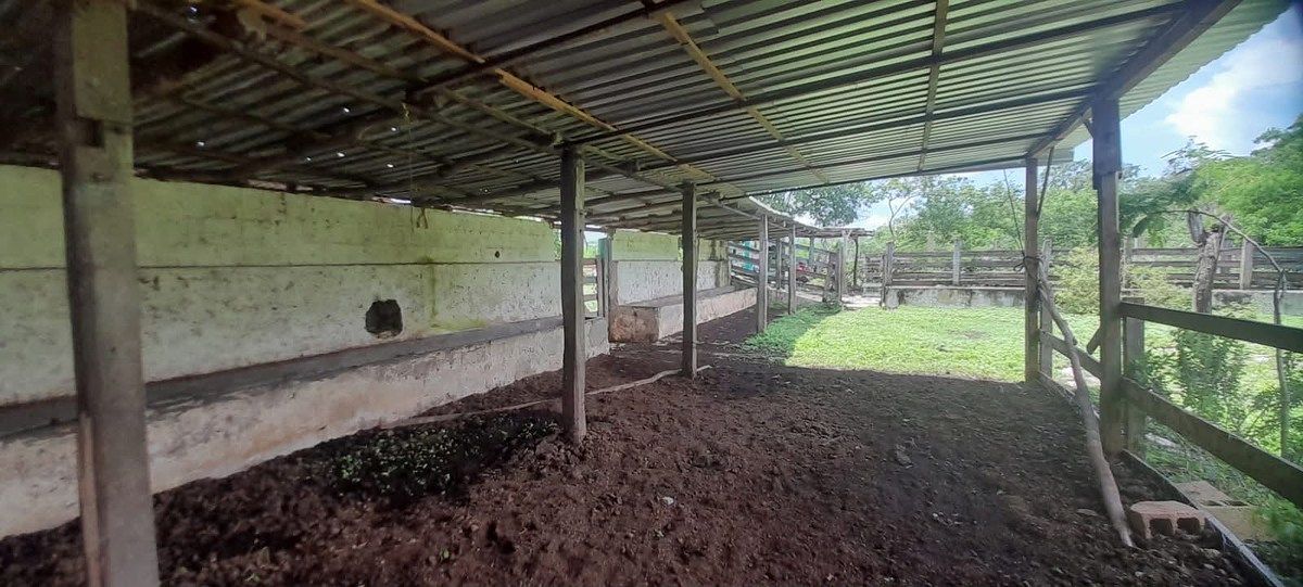 Rancho en Buctzotz, Buctzotz, foto 26 de 39