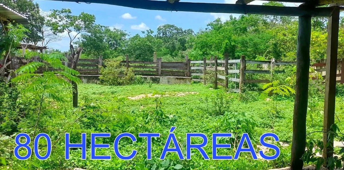 Rancho en Buctzotz, Buctzotz, foto 33 de 39