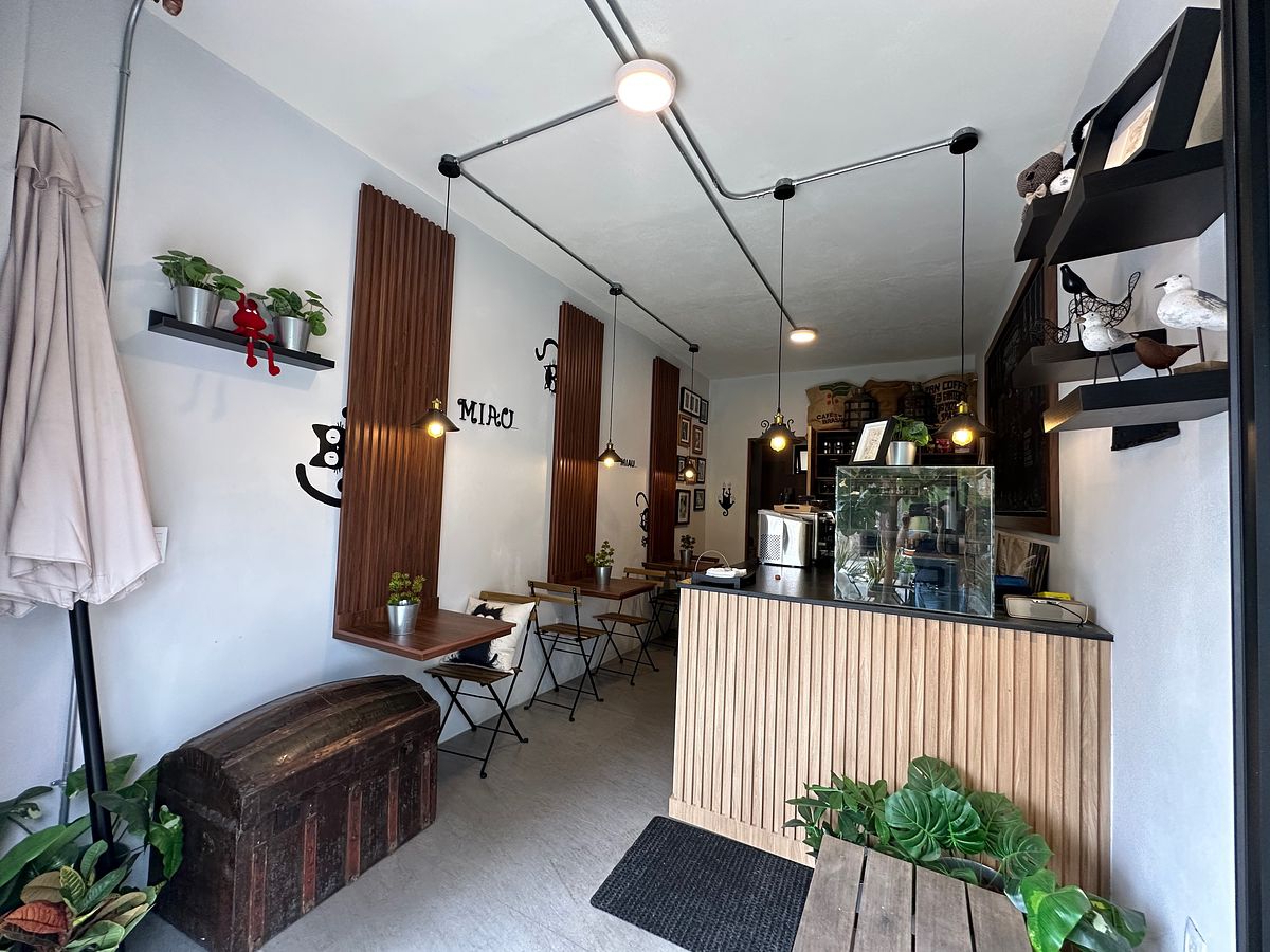 Retail Space in Santa Teresita, Guadalajara, photo 5 of 14