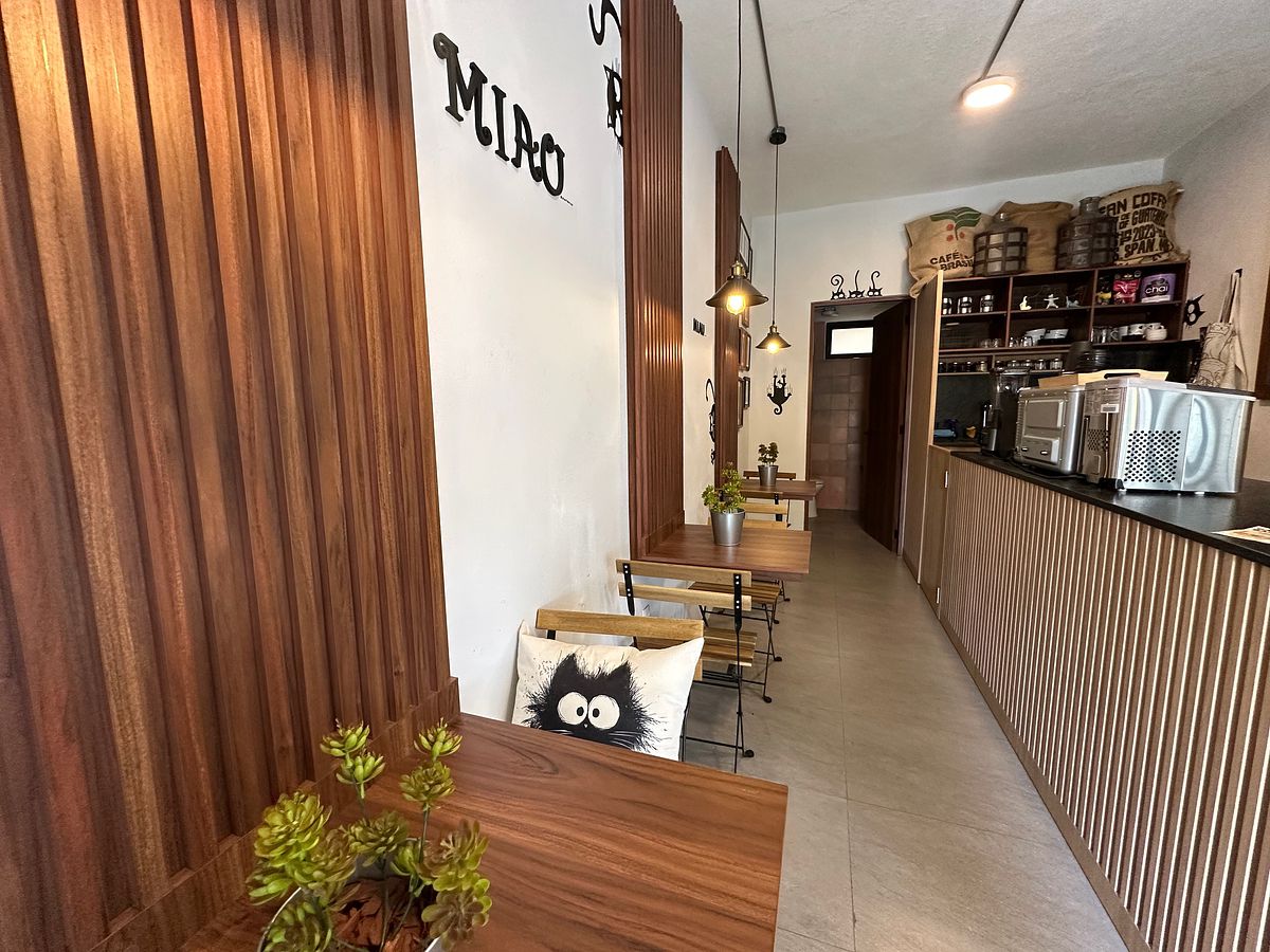 Retail Space in Santa Teresita, Guadalajara, photo 7 of 14