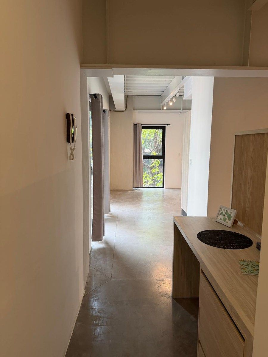 Apartment in Roma Norte, Cuauhtémoc, photo 4 of 23