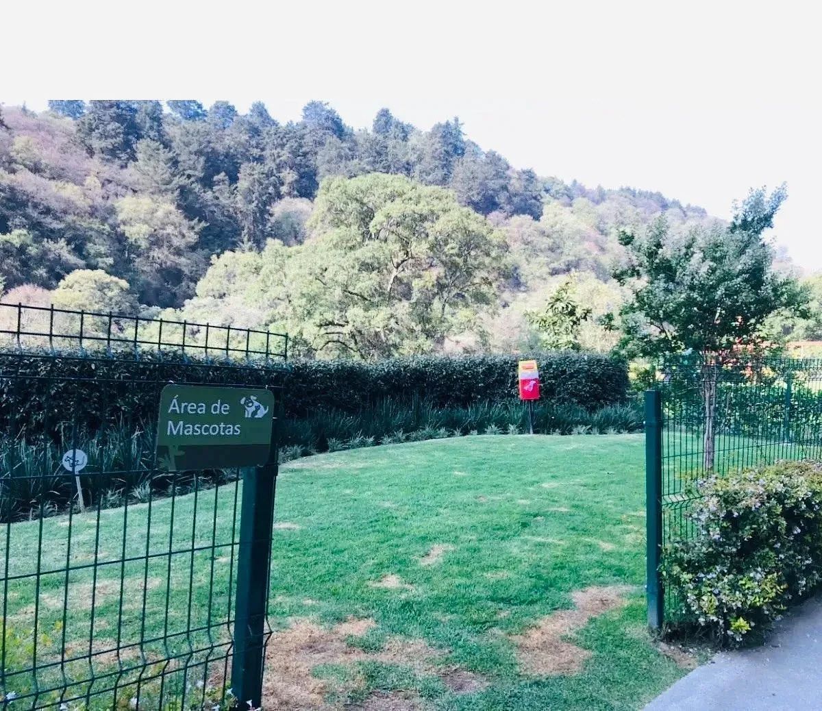 Departamento en San Mateo Tlaltenango, Cuajimalpa de Morelos, foto 46 de 51