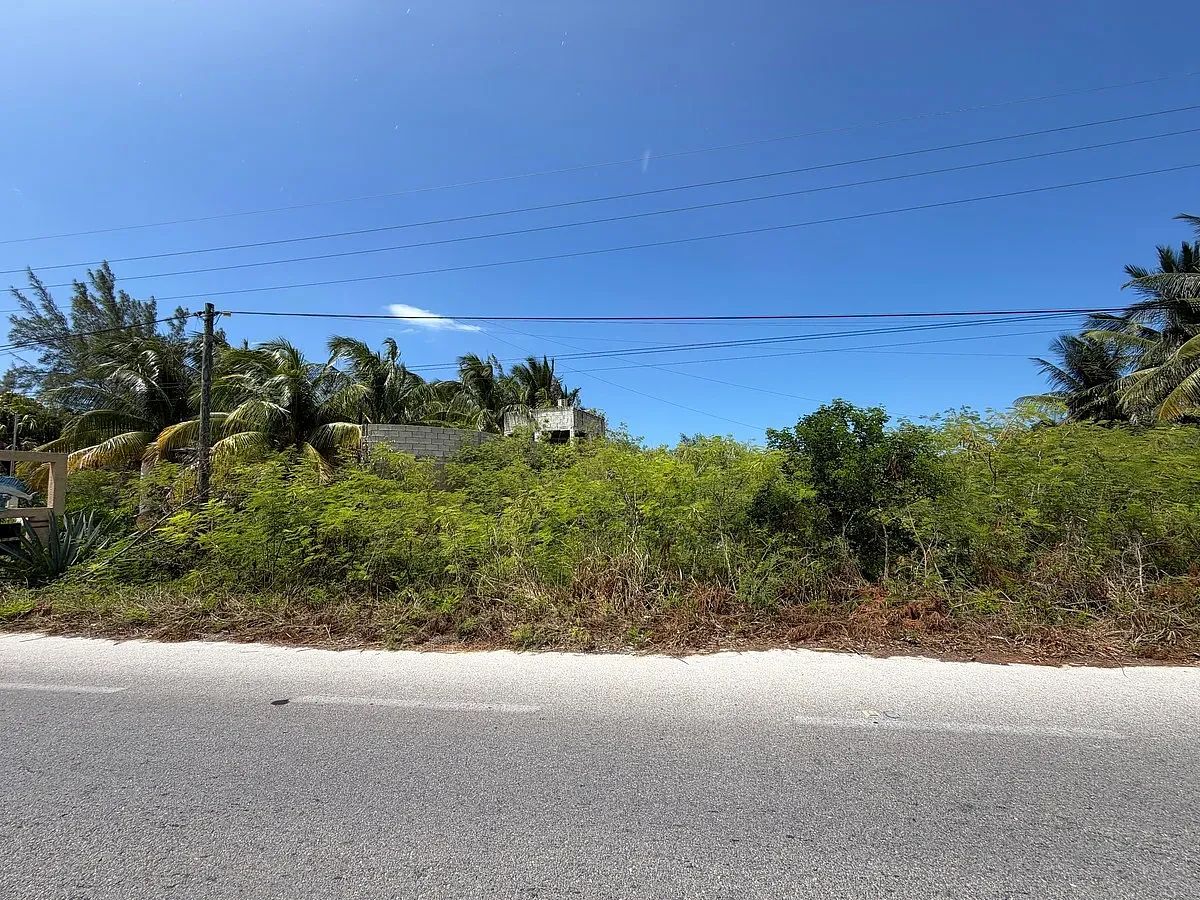Terreno en San Benito, Dzemul, foto 6 de 8