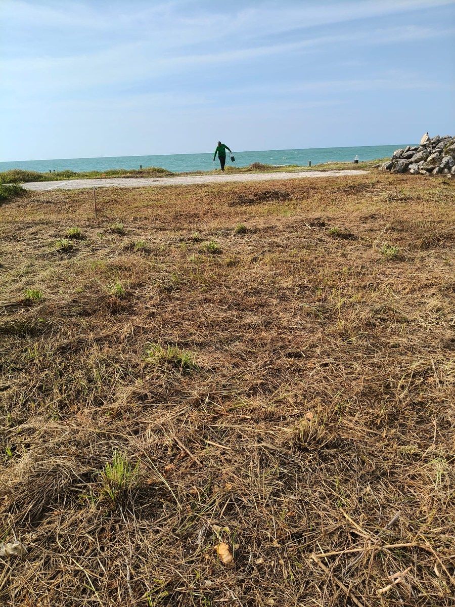 Lote em Residencial Mar Azul, Carmen, foto 3 de 6