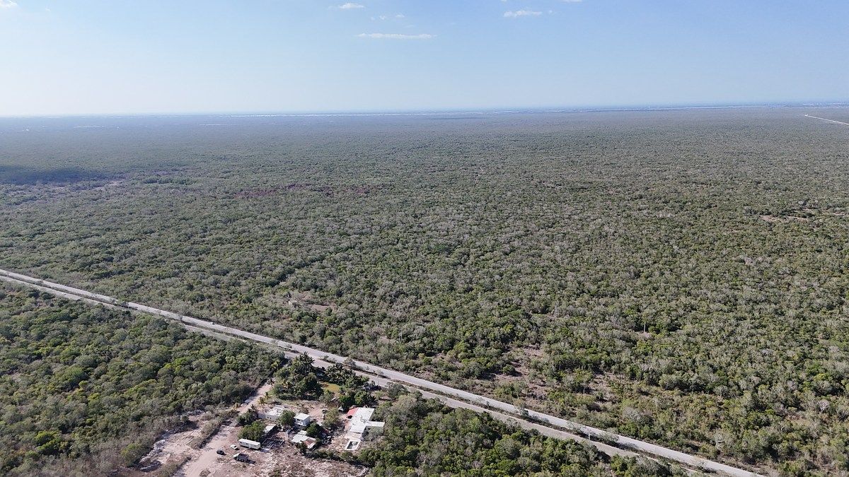 Lote em Sierra Papacal, Mérida, foto 5 de 46