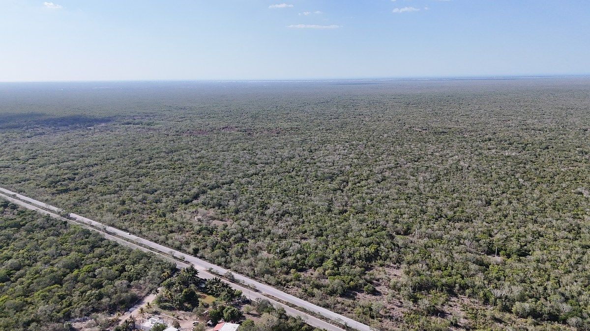 Lote em Sierra Papacal, Mérida, foto 8 de 46