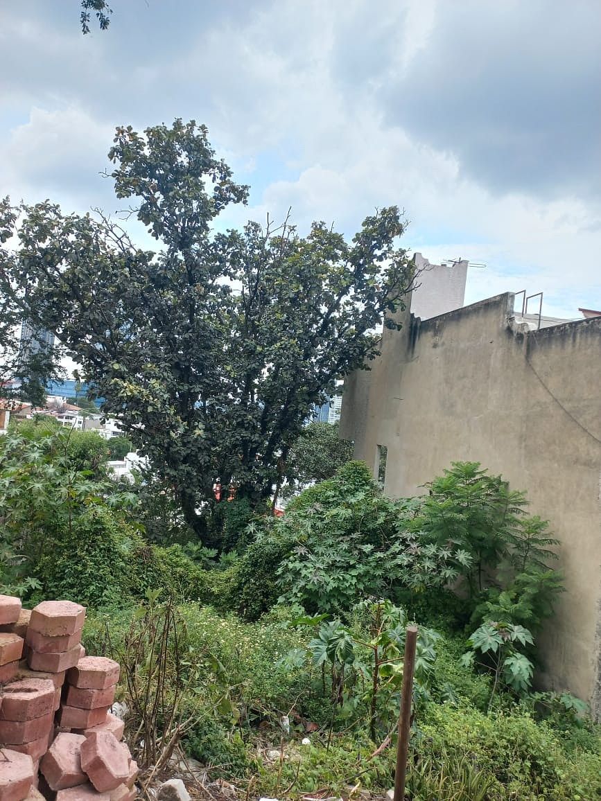 Lot in San Wenceslao, Zapopan, photo 2 of 6