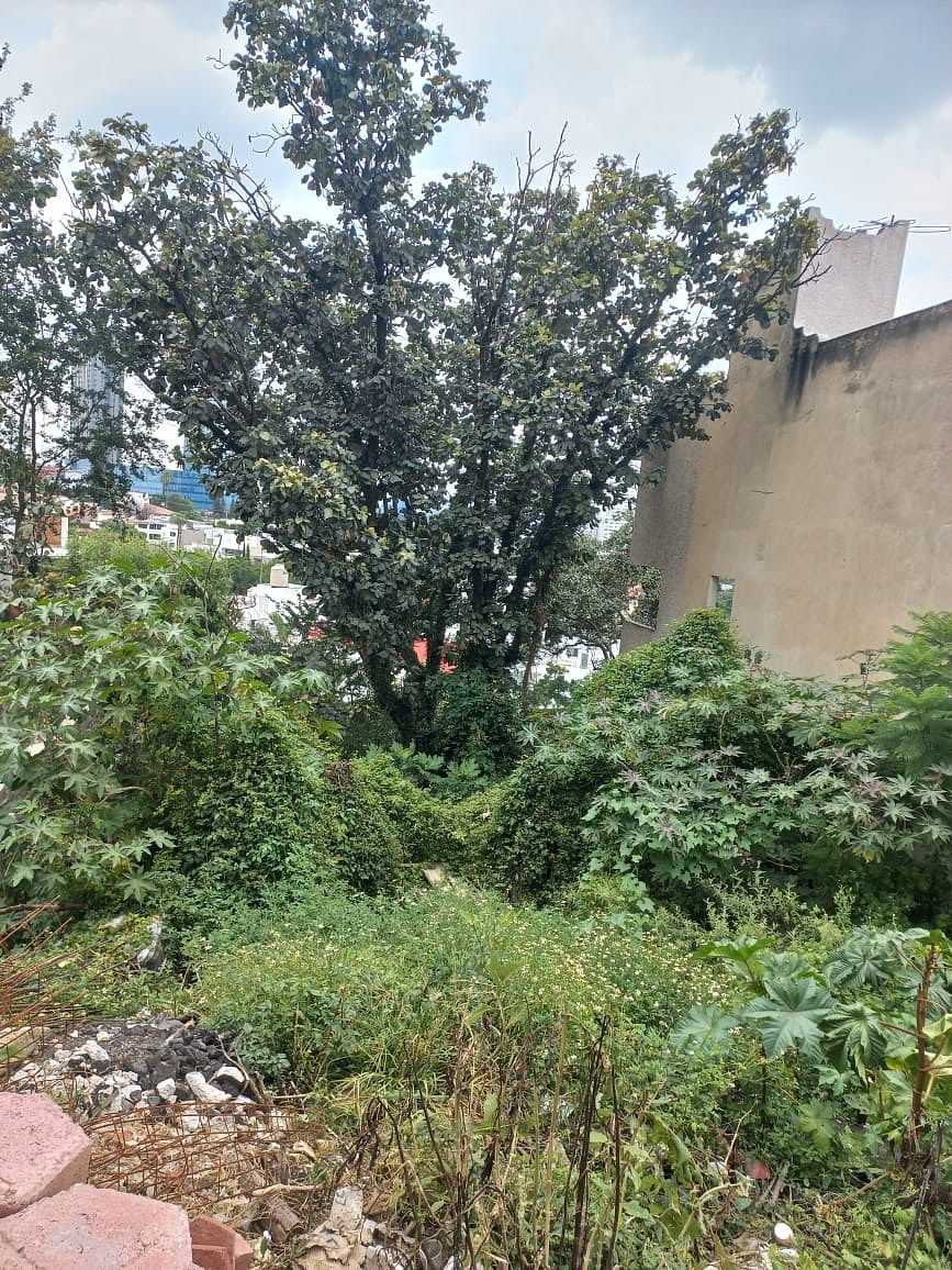 Lot in San Wenceslao, Zapopan, photo 4 of 6
