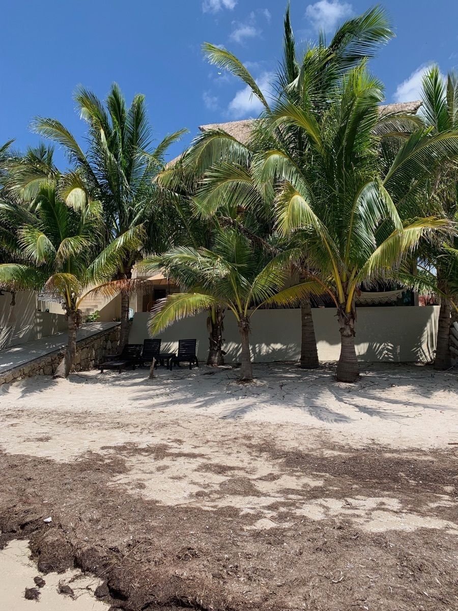 Casa en Chabihau, Yobaín, foto 37 de 44