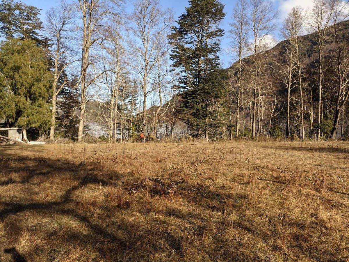 Terreno en Curarrehue, foto 4 de 11