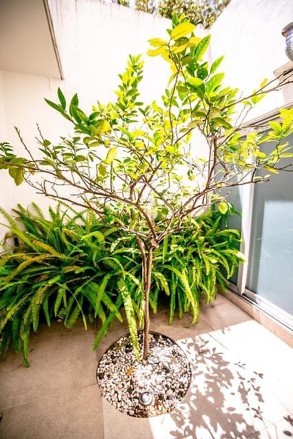 Casa em Santa Fe La Loma, Álvaro Obregón, foto 6 de 48