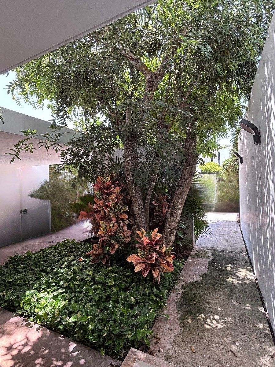 Casa en condominio en Cholul, Mérida, foto 5 de 25