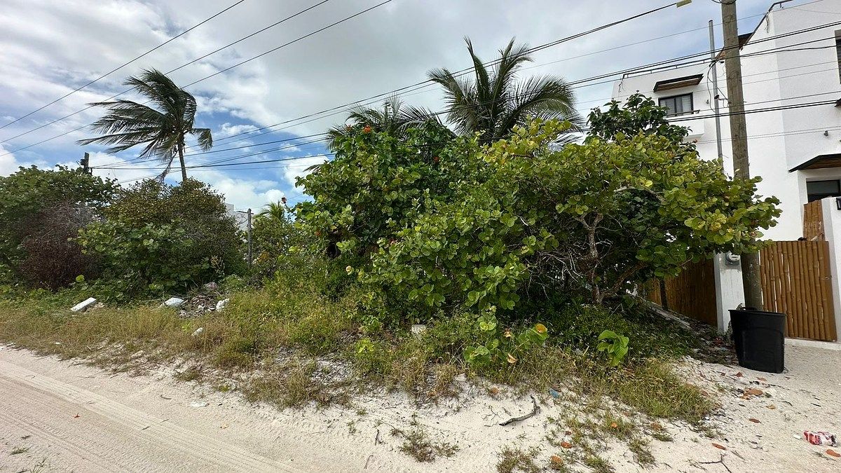 Lote em San Benito, Dzemul, foto 3 de 3