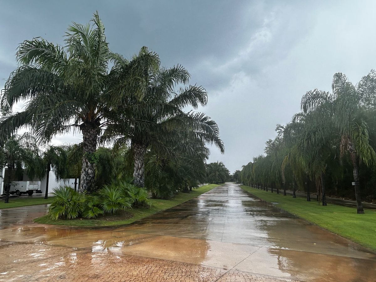 Lote em Conkal, Conkal, foto 5 de 18