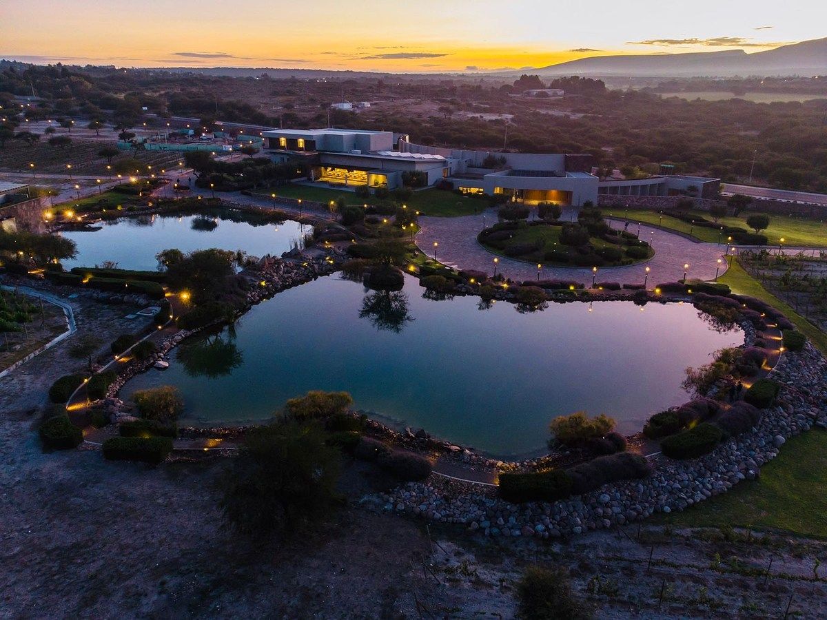 Incredible Lots for Sale within a Vineyard, photo 1 of 14