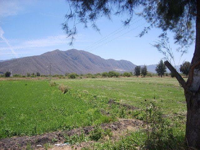 Excelente Terreno plano a 3 km. de la pobl por la carret Acatlán -Ciudad Guzman