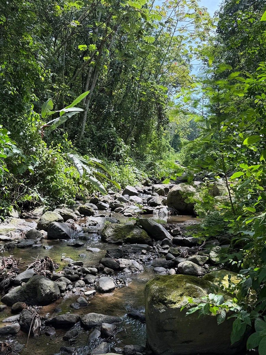 Finca en Santa Bárbara, foto 3 de 6
