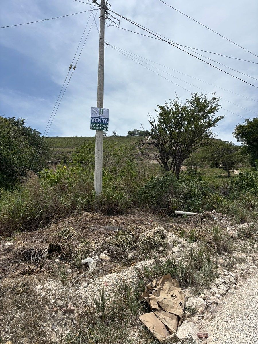 VOCÊ ESTÁ PROCURANDO UM LOTE COM POTENCIAL RESIDENCIAL OU INDUSTRIAL?, foto 1 de 4