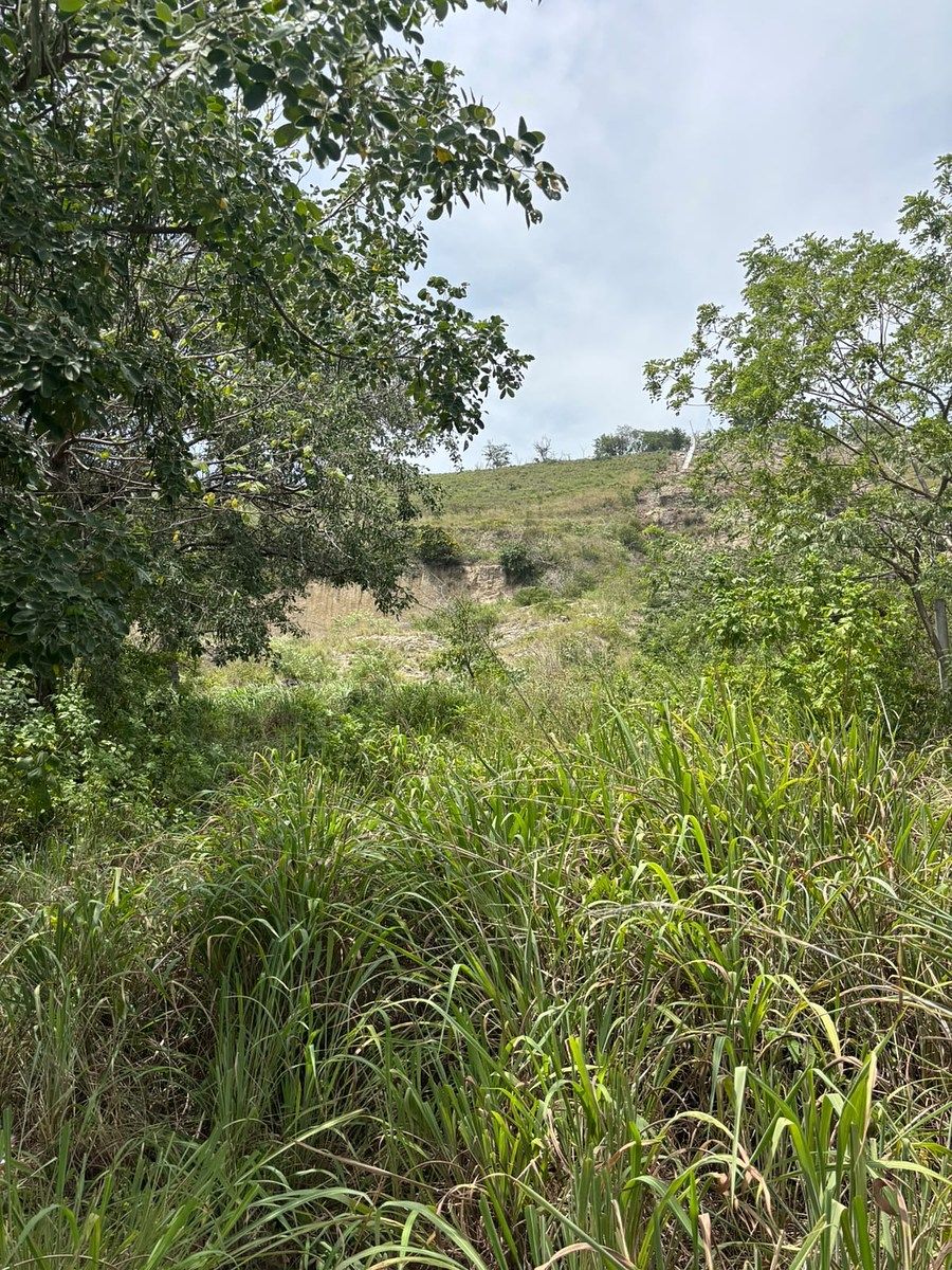 Lote em Plan de Ayala, Tuxtla Gutiérrez, foto 4 de 4