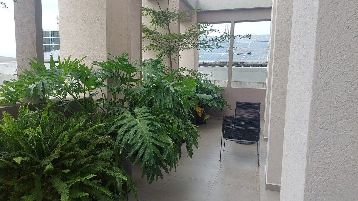 Departamento en Moderna, Guadalajara, foto 4 de 50