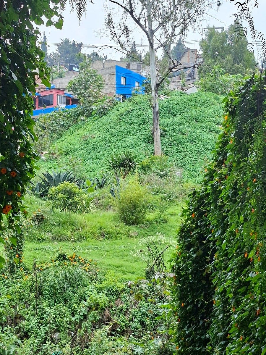 Lote comercial em Ampliación Las Águilas, Álvaro Obregón, foto 3 de 3