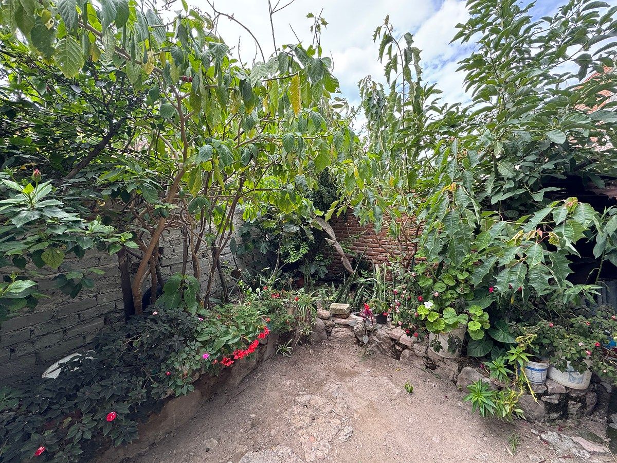 House in Lindavista, San Miguel de Allende, photo 16 of 34